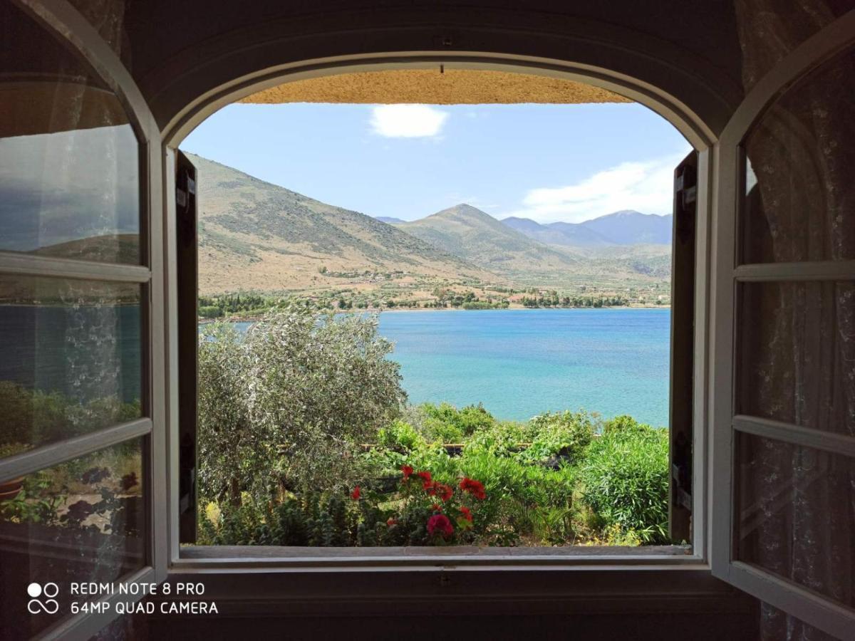 Aphrodite'S Coast Retreat House! Galaxídhion Dış mekan fotoğraf