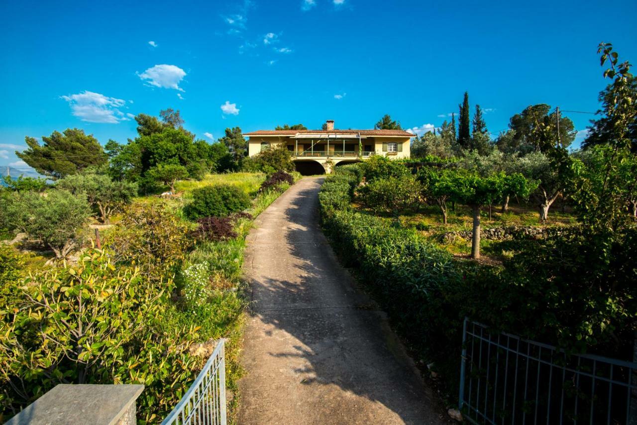 Aphrodite'S Coast Retreat House! Galaxídhion Dış mekan fotoğraf